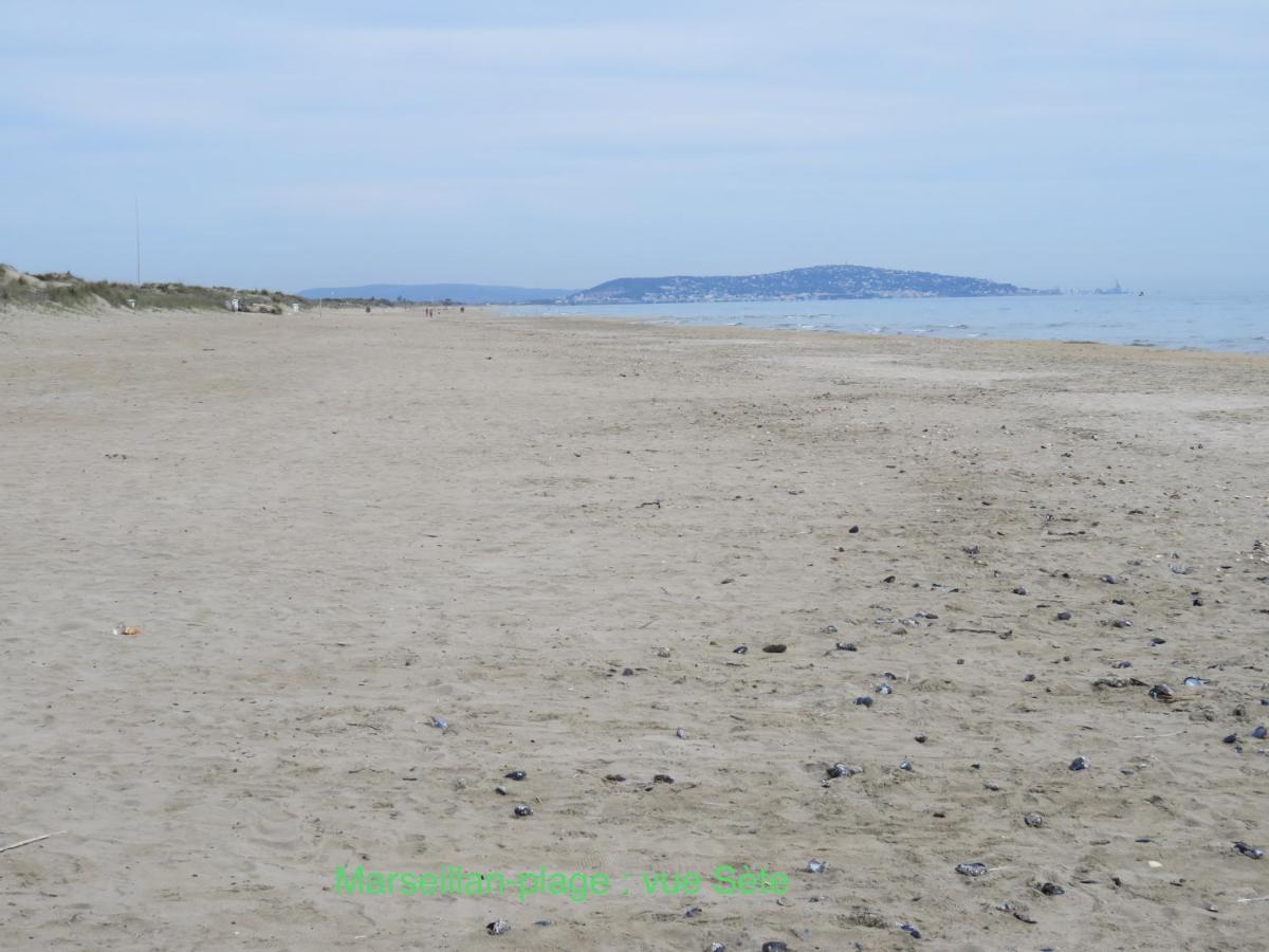 Horte Neuve Marseillan  Exterior foto
